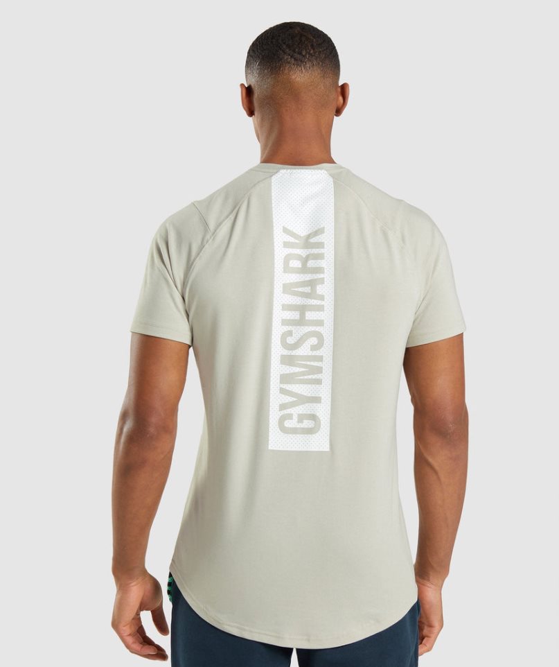 Men's Gymshark Bold T-Shirts Mint | CA 680157